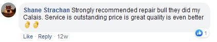 21 repair bull review